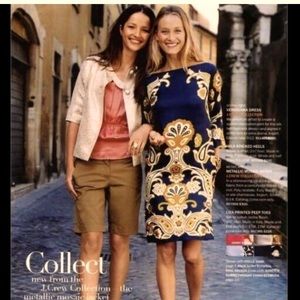 J crew vintage verushchka silk dress